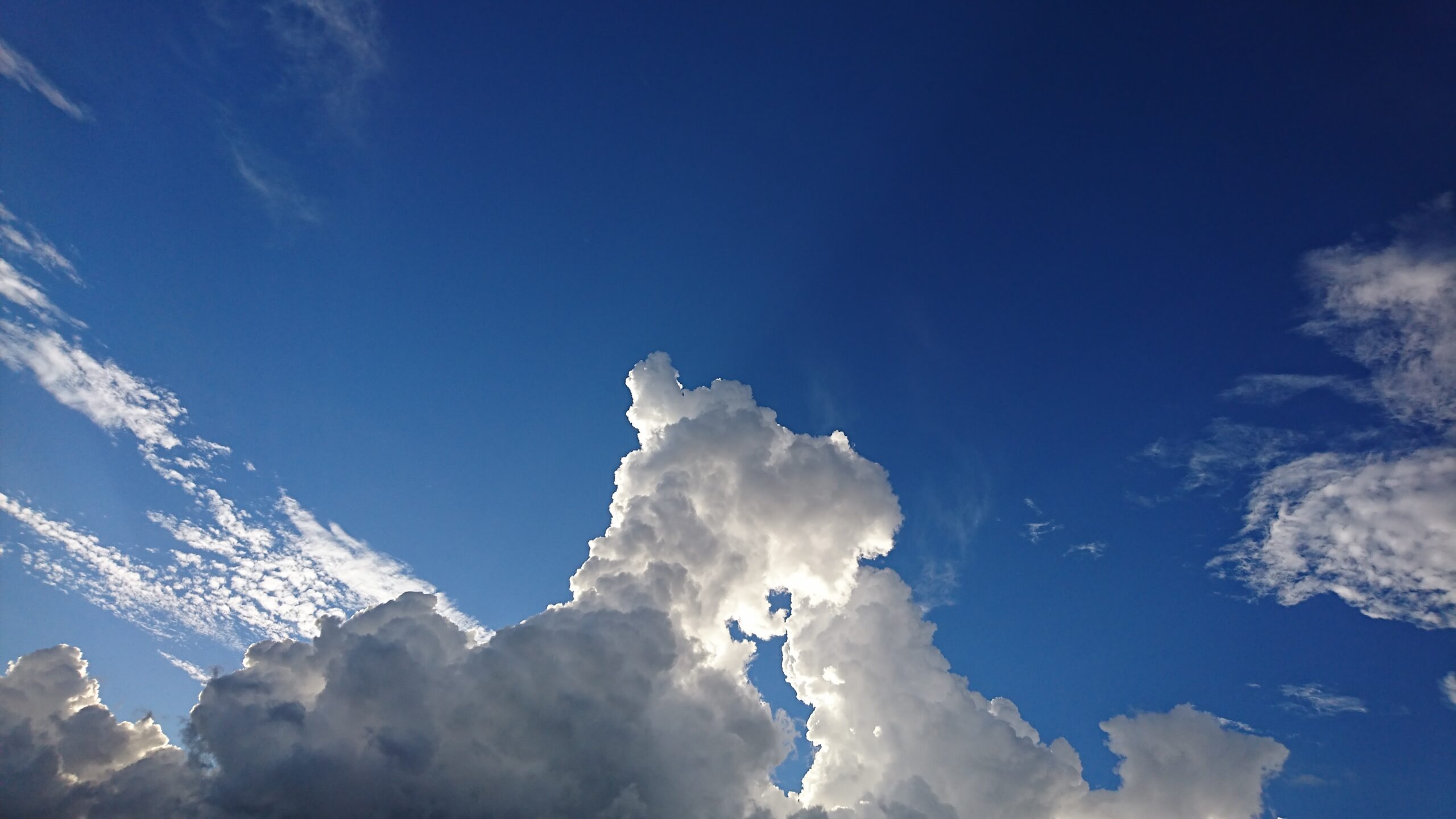 快晴の雲